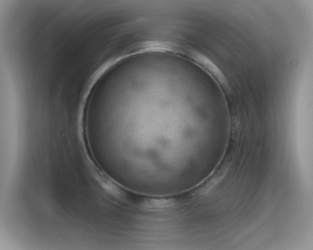 X0000115591427200911171021