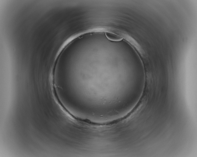 X0000115591428200911171021