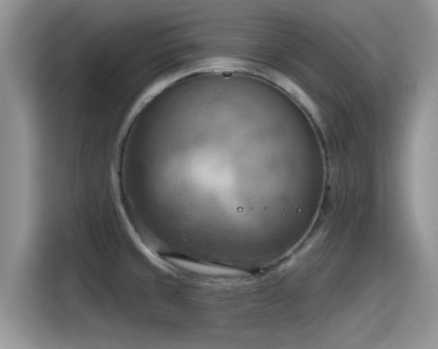 X0000115591429200911171021
