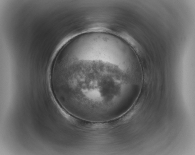 X0000115591430200911171021