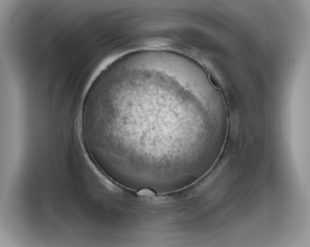 X0000115591432200911171021