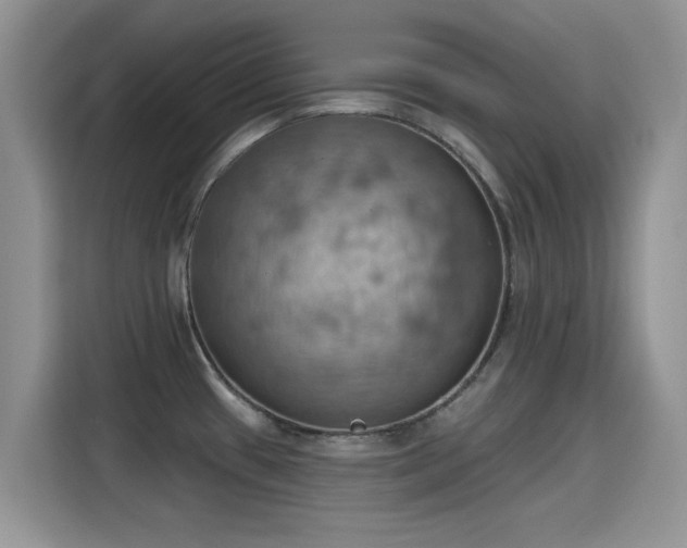 X0000115591433200911171021