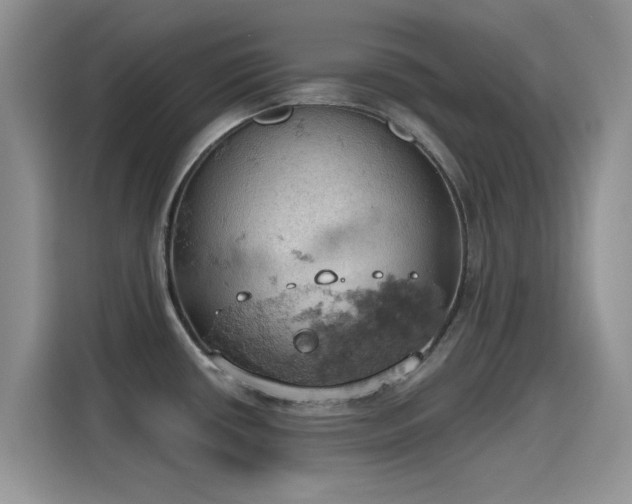X0000115591434200911171021