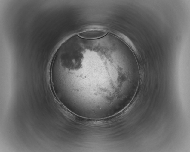 X0000115591435200911171021