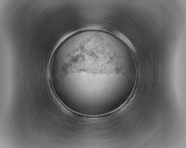 X0000115591436200911171021