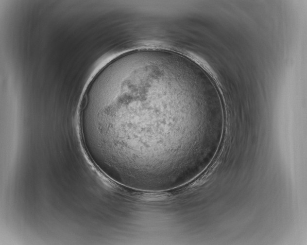 X0000115591440200911171021