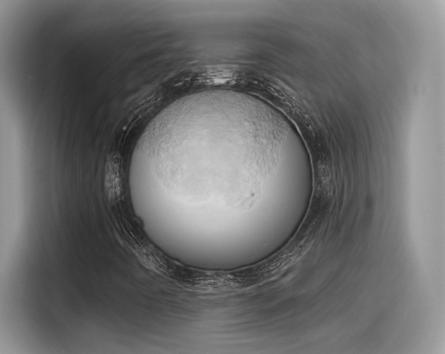 X0000115591442200911171020
