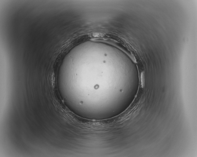X0000115591443200911171020