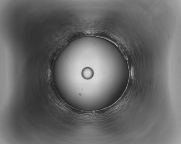 X0000115591444200911171020