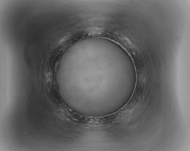X0000115591445200911171020