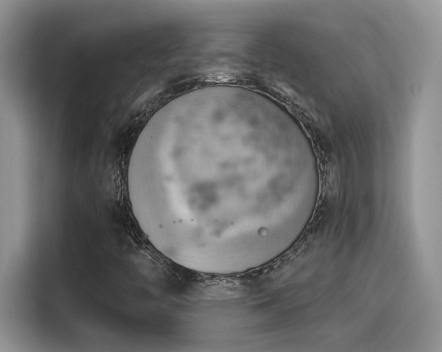 X0000115591446200911171020