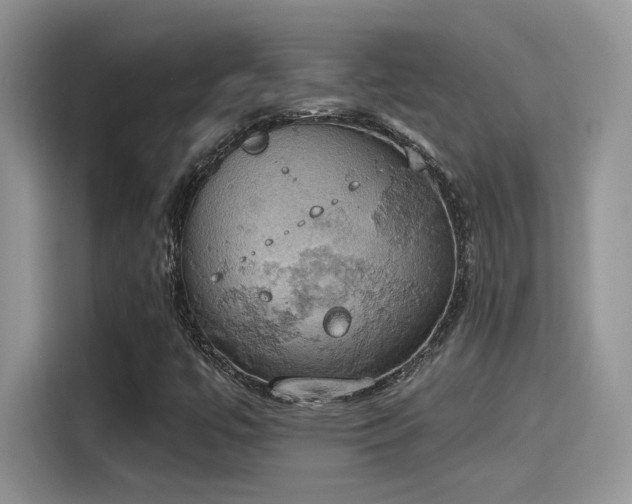 X0000115591447200911171020
