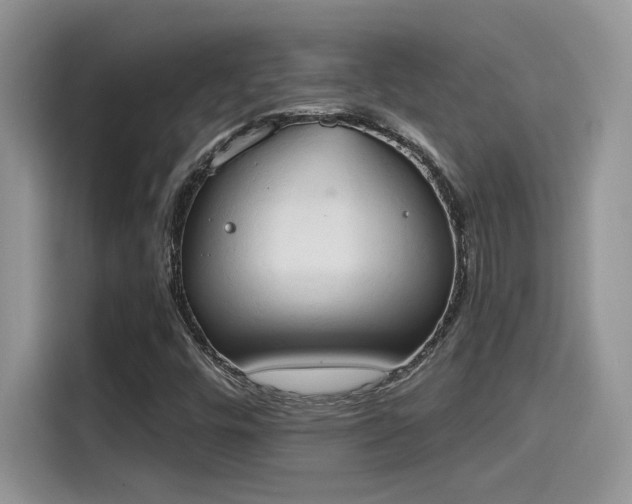 X0000115591448200911171020