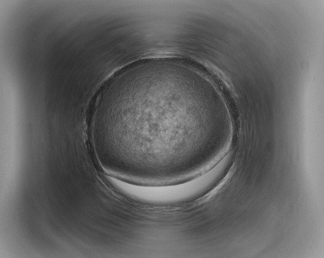 X0000115591449200911171020