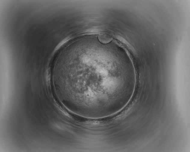 X0000115591450200911171020