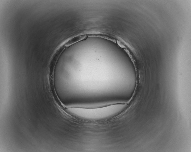 X0000115591452200911171020