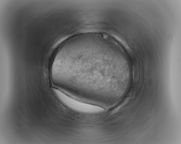 X0000115591453200911171020