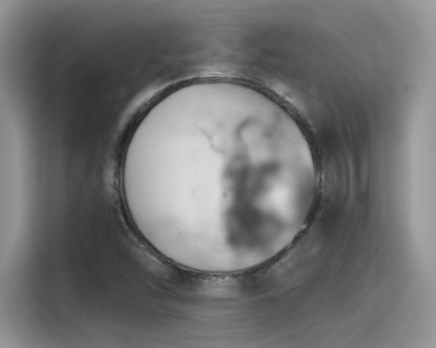 X0000115591454200911171020
