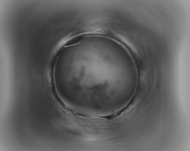 X0000115591455200911171020