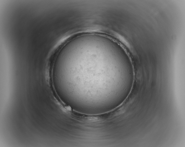 X0000115591456200911171020