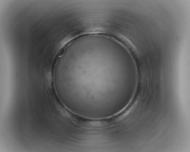 X0000115591457200911171020
