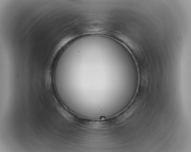 X0000115591458200911171020