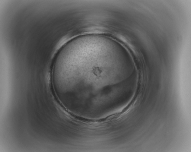 X0000115591459200911171020