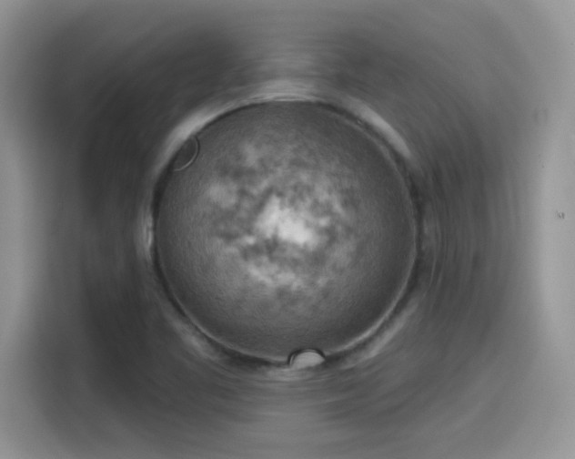 X0000115591461200911171020