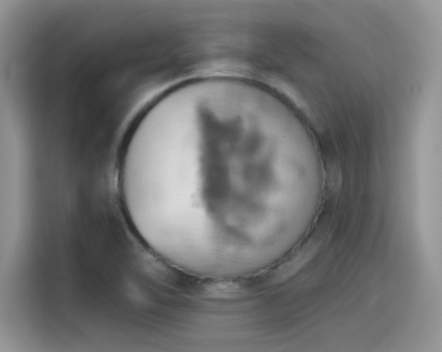 X0000115591462200911171020