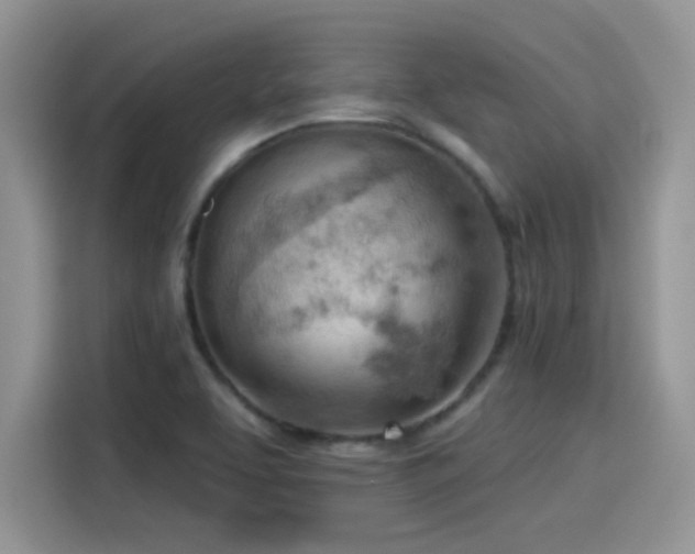 X0000115591463200911171020