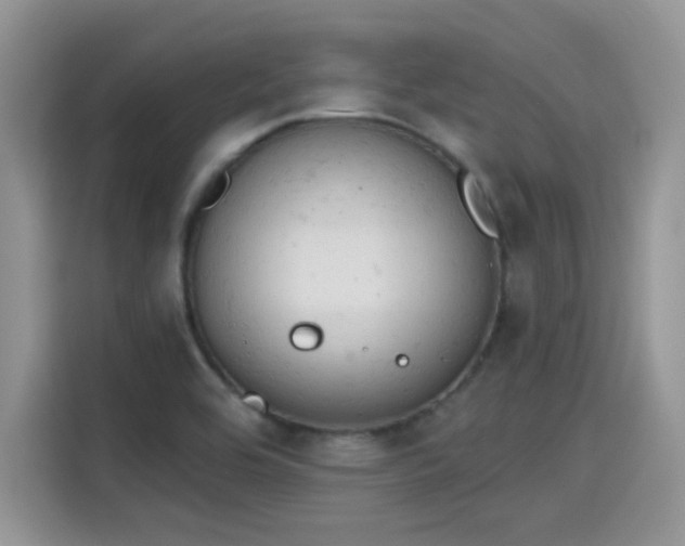 X0000115591464200911171020
