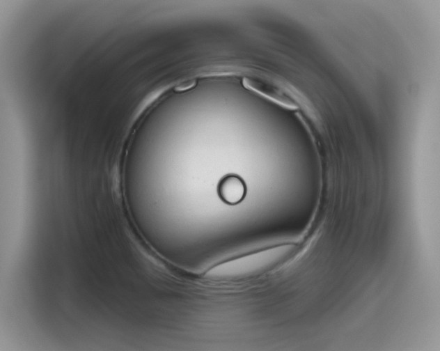 X0000115591465200911171020