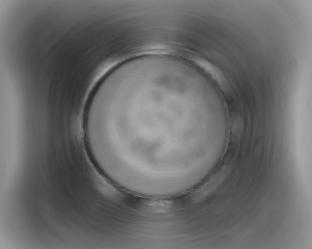 X0000115591466200911171020