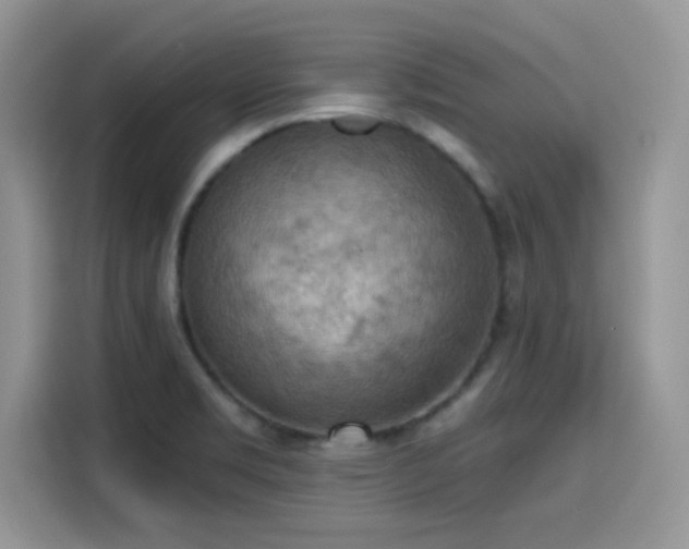 X0000115591469200911171020