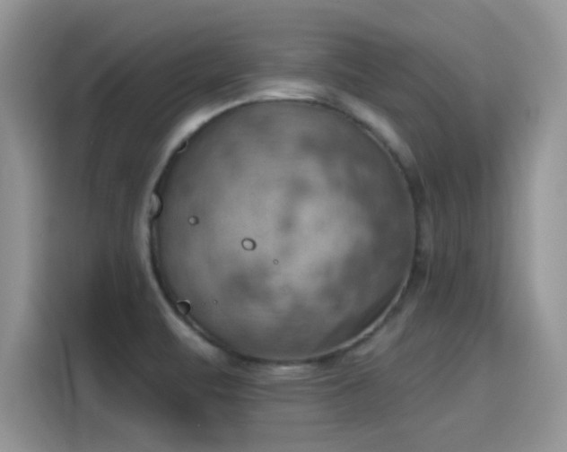 X0000115591471200911171020