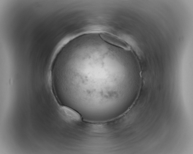 X0000115591472200911171020