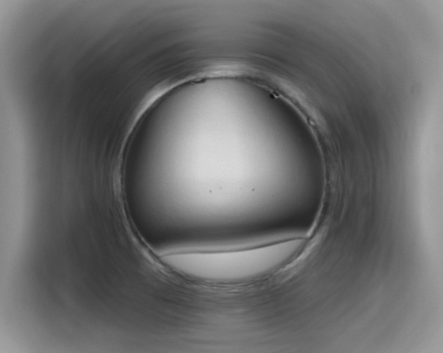 X0000115591473200911171020