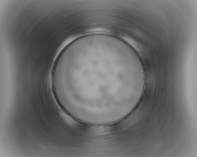X0000115591474200911171020