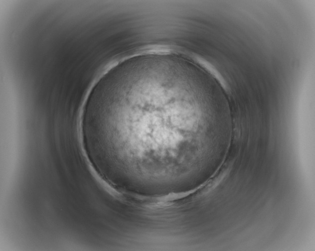 X0000115591475200911171020
