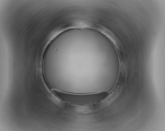 X0000115591477200911171020