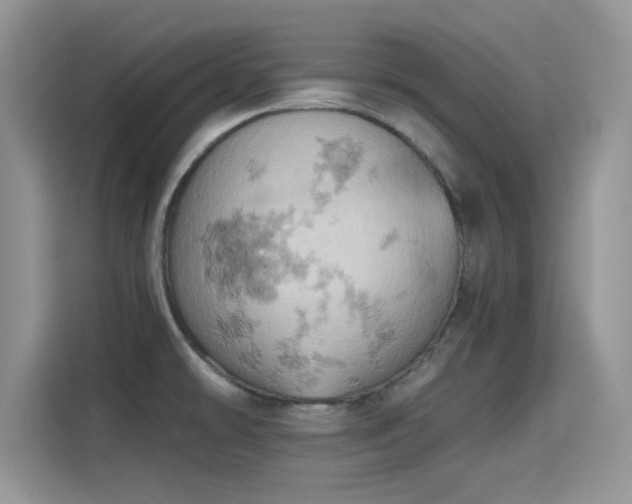 X0000115591478200911171020