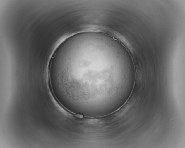 X0000115591479200911171020