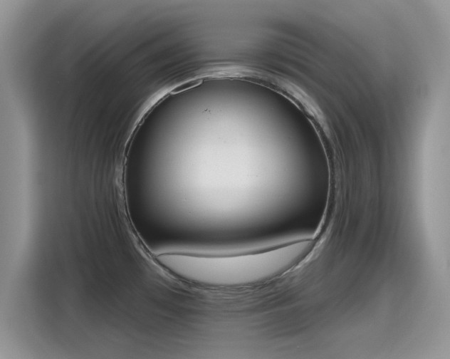 X0000115591481200911171020