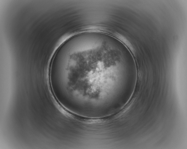 X0000115591482200911171020