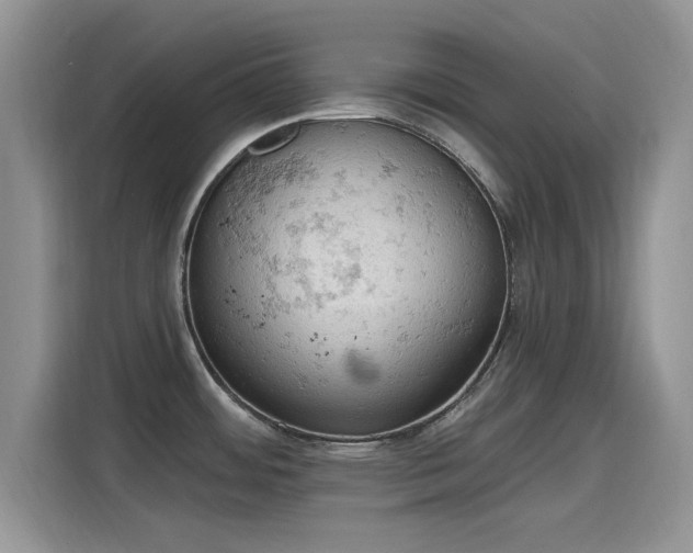 X0000115591484200911171020