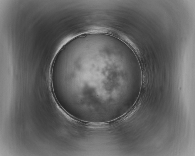 X0000115591487200911171020