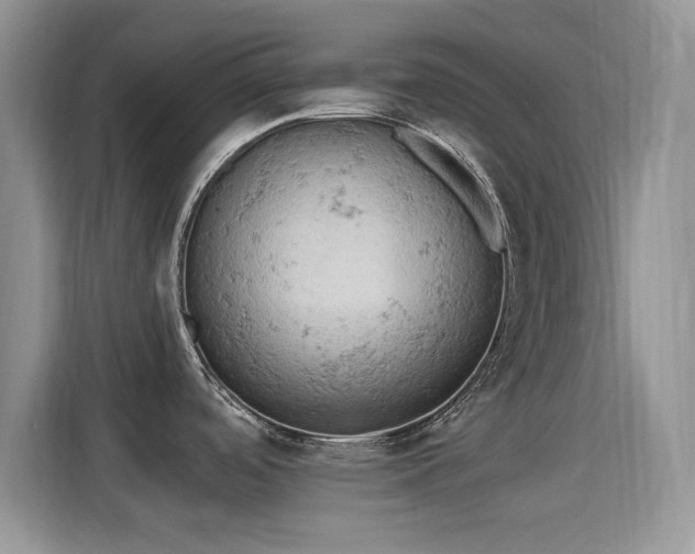 X0000115591488200911171020