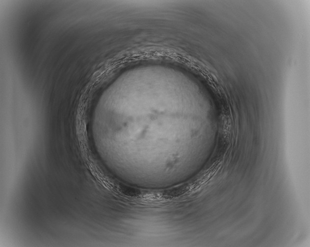 X0000115591489200911171019