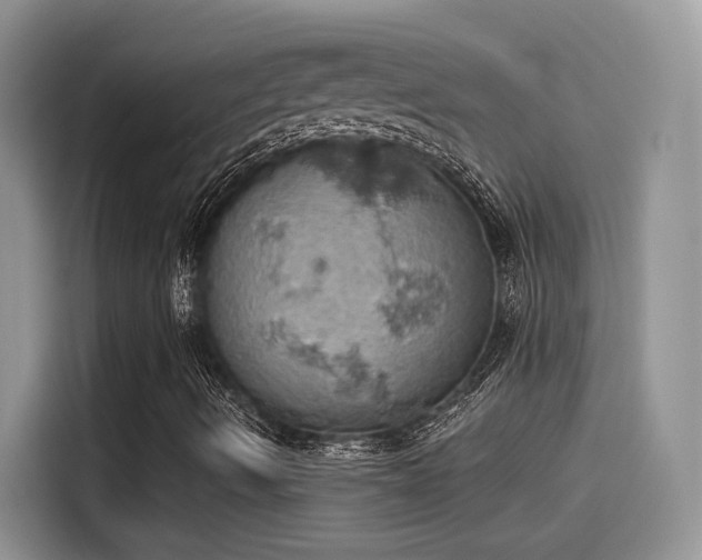 X0000115591490200911171019