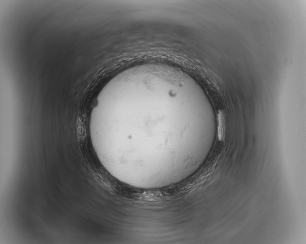 X0000115591491200911171019